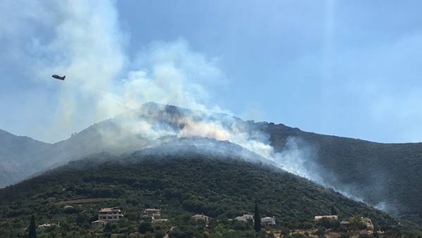Έντονες υποψίες για εμπρησμό: Νέα φωτιά στους Ανω Μπλεμενιάνους