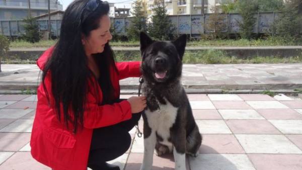 Εκθεση μορφολογίας σκύλων στον Σιδηροδρομικό Σταθμό Καλαμάτας