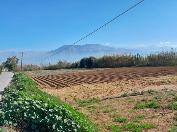 Υποχωρεί η πατάτα έρχεται ο τουρισμός στις εκτάσεις του Μπουρνιά και της Μεσσήνης