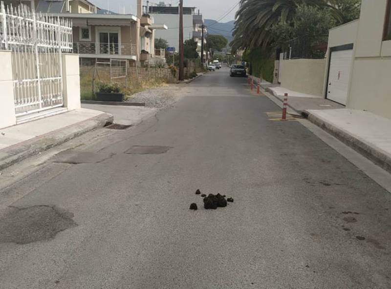 Ποιος θα τα καθαρίσει;