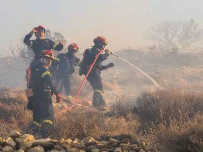 Πυρκαγιά σε αγροτοδασική έκταση στην Αργολίδα
