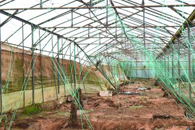 Περιμένουν έγκριση της Κομισιόν για βοήθεια στους αγρότες