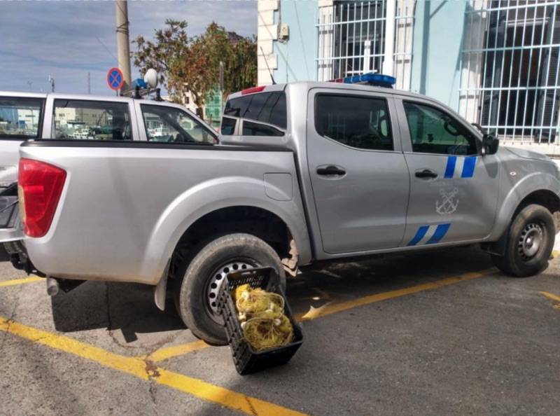 ΛΙΜΕΝΑΡΧΕΙΟ ΚΑΛΑΜΑΤΑΣ: Κατάσχεσαν δίχτυ για παράνομη αλιεία