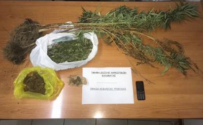 Καλλιεργούσε χασίς στον κήπο του στην Κυπαρισσία