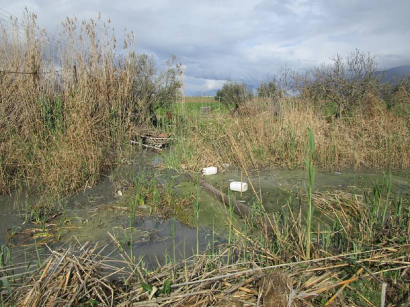 Ελέγχους για αντιμετώπιση της ρύπανσης ζητεί ο ΓΟΕΒ