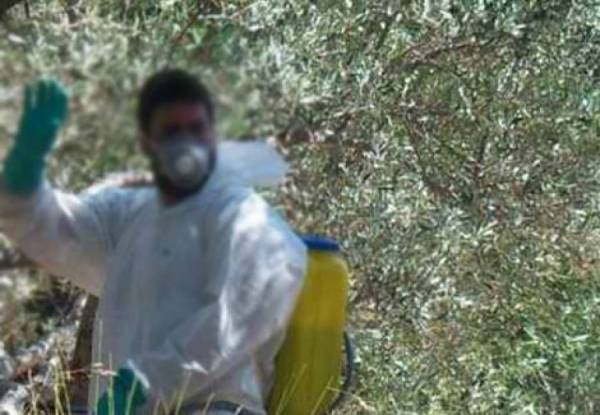 Η φετινή είναι η χειρότερη χρονιά για τη δακοκτονία