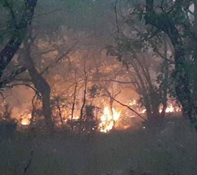 Τρεις κοινότητες της Μεγαλόπολης κηρύχθηκαν σε κατάσταση έκτακτης αναγκης