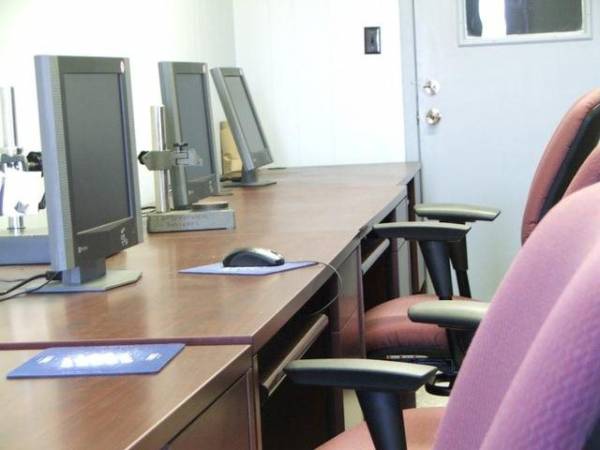 &quot;Τσίμπησαν&quot; άφαντη υπαλληλο στην Καλαμάτα