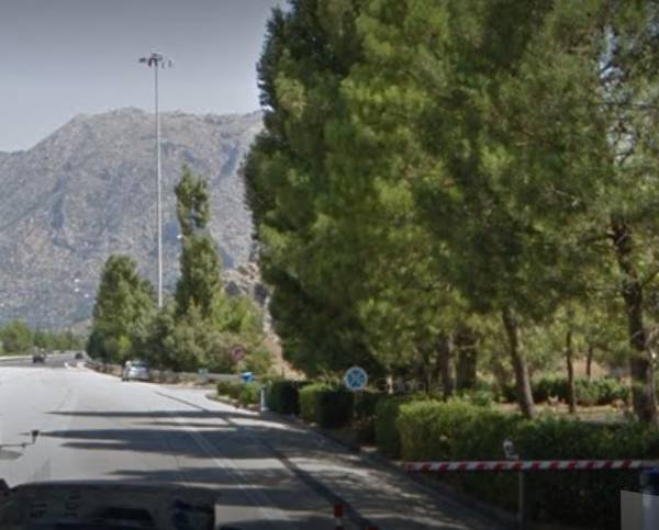 Μουλάρι κυκλοφορούσε στον αυτοκινητόδρομο του “Μορέα”
