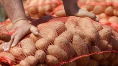 Μεσσήνη: Αθανασόπουλος σε Βορίδη για εισαγωγές πατάτας