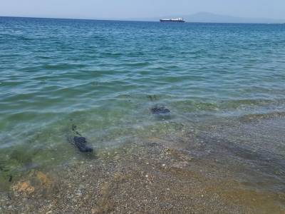 Διαμαρτυρίες πολιτών για ακαθαρσίες στην παραλία