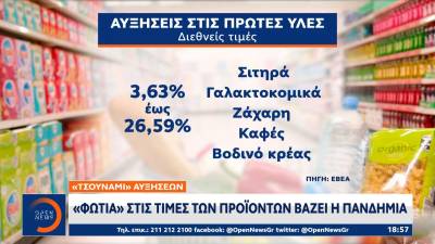 Σούπερ μάρκετ: Σε ποια προϊόντα αυξήθηκαν οι τιμές εν μέσω πανδημίας (Βίντεο)