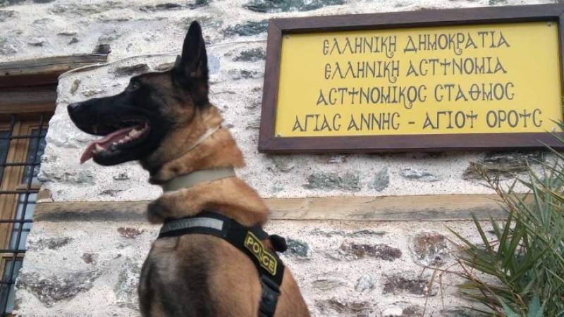 Βγαίνει στη... σύνταξη ο πιο διάσημος σκύλος περιπολίας της ΕΛΑΣ
