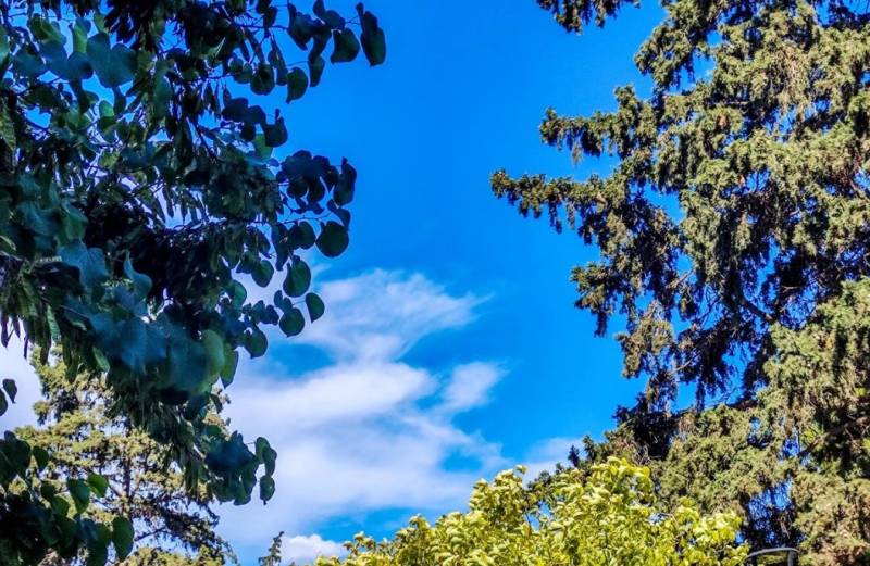 Αίθριος ο καιρός την Τετάρτη - Αναλυτική πρόγνωση (Βίντεο)