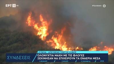 Ολονύχτια μάχη με τις φλόγες - Ξεκίνησαν να επιχειρούν τα εναέρια μέσα