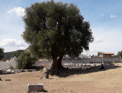 Εκδήλωση για καινοτόμες προτάσεις και τη βιώσιμη ανάπτυξη