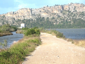 Διαμαρτυρίες για κουνούπια στη Γιάλοβα