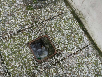 Πολιτισμένα …πράγματα