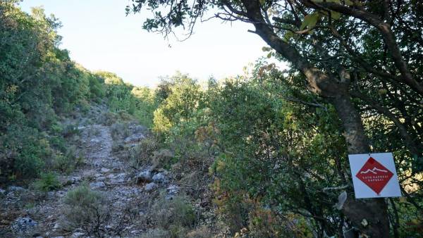 Καθαρισμός και σήμανση μονοπατιού στο Λαδά