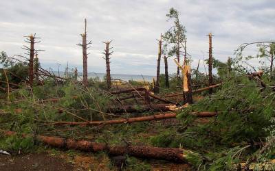 Χαλκιδική: Αυτόπτης μάρτυρας περιγράφει τη συγκλονιστική στιγμή που καταπλακώθηκαν ο Ρώσος τουρίστας και ο γιος του