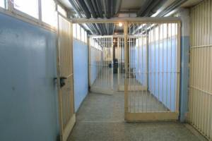 Προφυλακίστηκε για τις 5 κλοπές ο τσιγγάνος