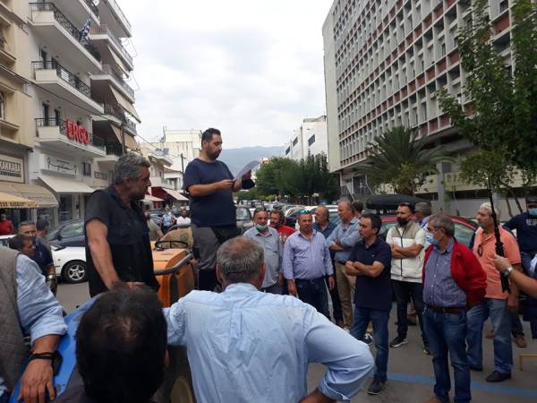 Κινητοποίηση σταφιδοπαραγωγών στην Καλαμάτα: Απαιτούν από την κυβέρνηση λύση για την σταφίδα (βίντεο)