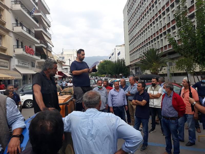 Κινητοποίηση σταφιδοπαραγωγών στην Καλαμάτα: Απαιτούν από την κυβέρνηση  λύση για την σταφίδα (βίντεο)