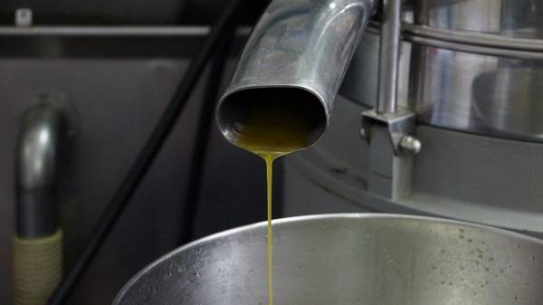 Μόνο 400 από τα 1.700 ελαιοτριβεία έχουν άδεια