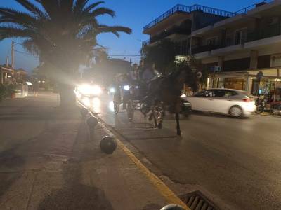 Βόλτες με άμαξα στη Ναυαρίνου