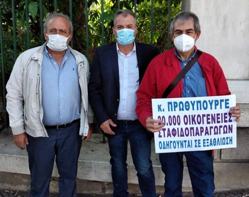 Στο πλευρό των σταφιδοπαραγωγών ο δήμαρχος Πύλου - Νέστορος Παναγιώτης Καρβέλας