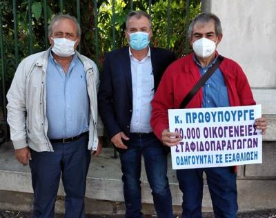 Στο πλευρό των σταφιδοπαραγωγών ο δήμαρχος Πύλου - Νέστορος Παναγιώτης Καρβέλας