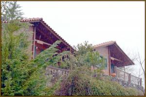 20 παιδιά από τα Χωριά SOS στα &quot;ξύλινα&quot; της Αλαγονίας