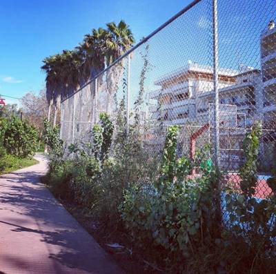 Θέριεψαν τα χορτάρια