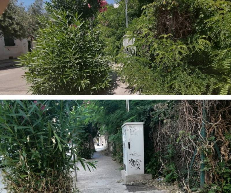 Καθαρίστηκε έγκαιρα