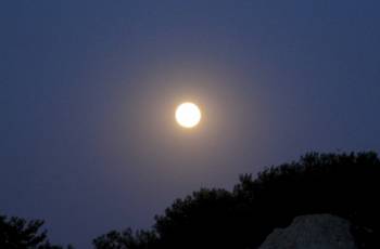 Εκδήλωση στο Μουσείο Ελιάς και Λαδιού