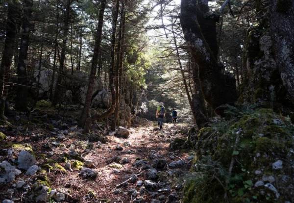 Πεζοπορία του Ορειβατικού Συλλόγου Καλαμάτας στο Καλάθι
