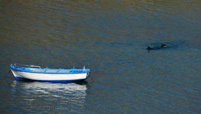 Εντοπίστηκε ο 53χρονος ερασιτέχνης ψαράς στα Ίσθμια