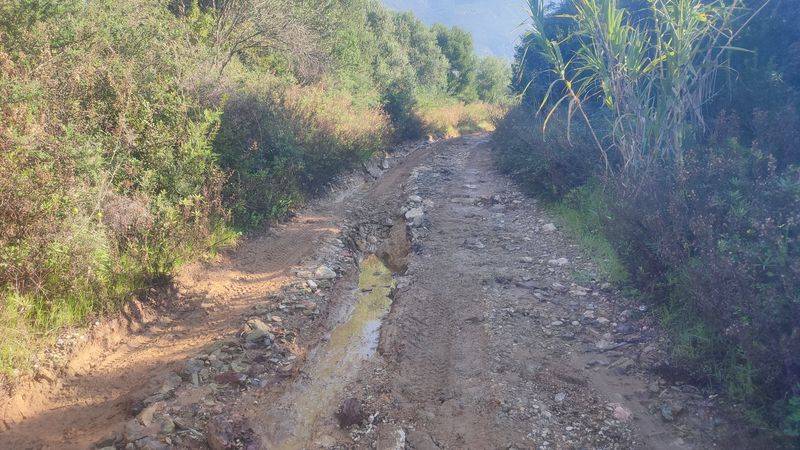 Τραγικό το αγροτικό οδικό δίκτυο του Δήμου Τριφυλίας