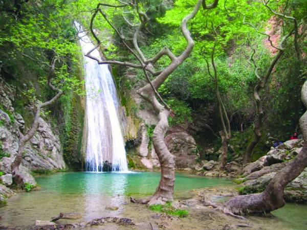 Εξόρμηση στη Νέδα
