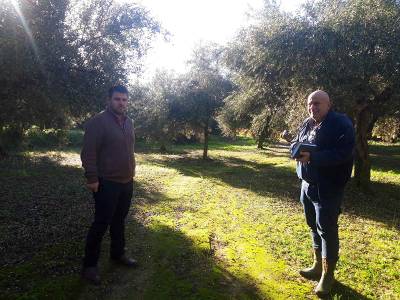 Στο 50% οι ζημιές από το χαλάζι στην περιοχή των Γαργαλιάνων