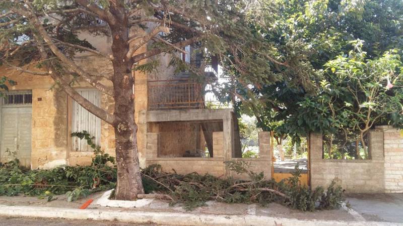 Τα «Ανυπότακτα Φιλιατρά» για περιβαλλοντικές καταστροφές