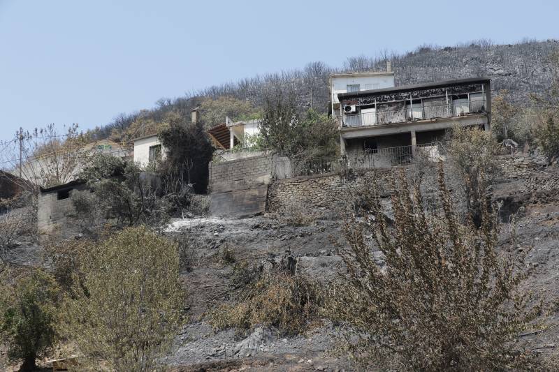 Τραγική η κατάσταση στην Ανω Μεσσηνία (βίντεο)