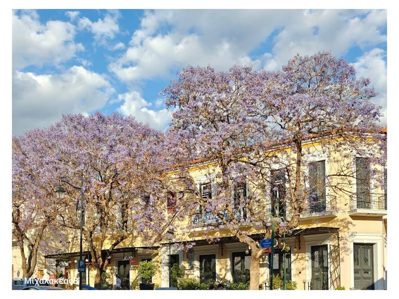 Δημιουργούν υπέροχες εικόνες