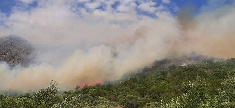 Καλαμάτα: Σήμερα απολογούνται οι δύο κατηγορούμενοι για εμπρησμό