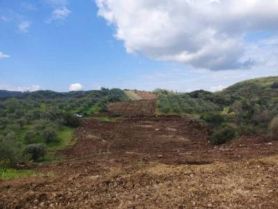 Νέες απαλλοτριώσεις για το Καλαμάτα – Μεθώνη