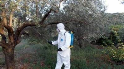 Μεσσηνία: Το πρόγραμμα δακοκτονίας για την Τρίτη 1/8