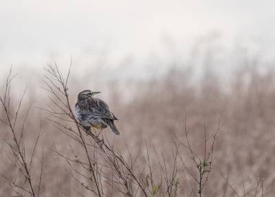 Τι λένε τα ζώδια σήμερα (27/11)