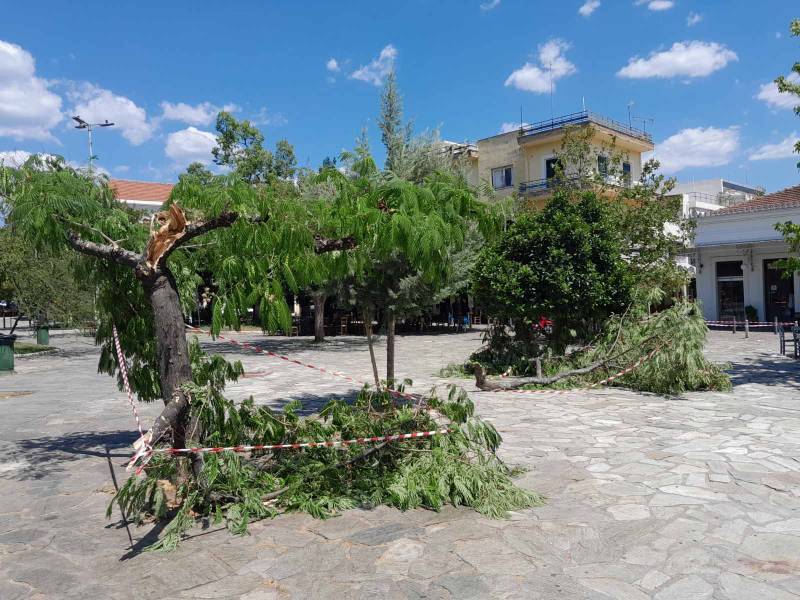 Καλαμάτα: Ζημιές από... καλοκαιρινό ανεμοστρόβιλο στην πλατεία Οθωνος (βίντεο-φωτογραφίες)