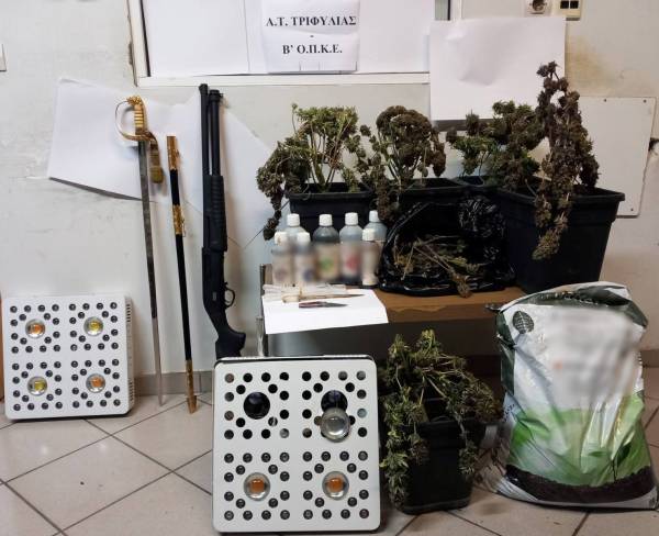 Κυπαρισσία: Καταγγελία για ενδοοικογενειακη βία αποκάλυψε... δενδρύλλια χασίς