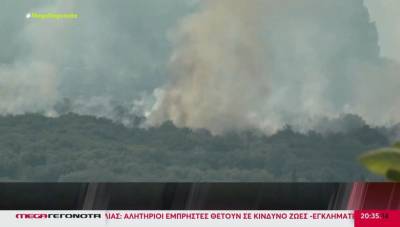 «Φουντώνει» η πολιτική αντιπαράθεση για την διαχείριση των πυρκαγιών (Βίντεο)